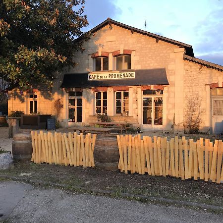 Le Cafe De La Promenade Bourgueil Exterior photo